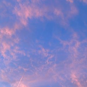 Meet your Posher, Nisa